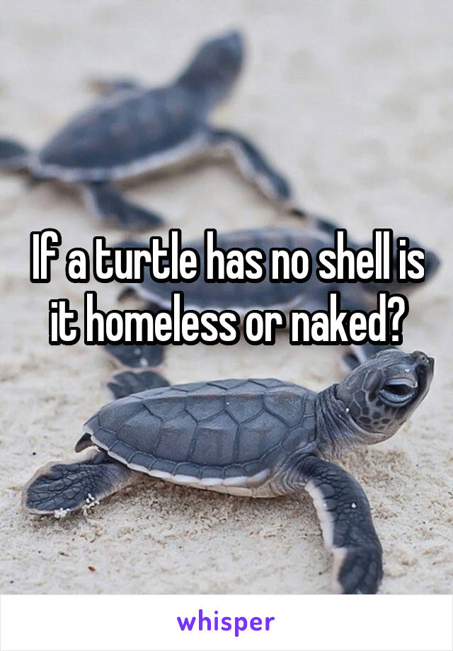 If a turtle has no shell is it homeless or naked?
