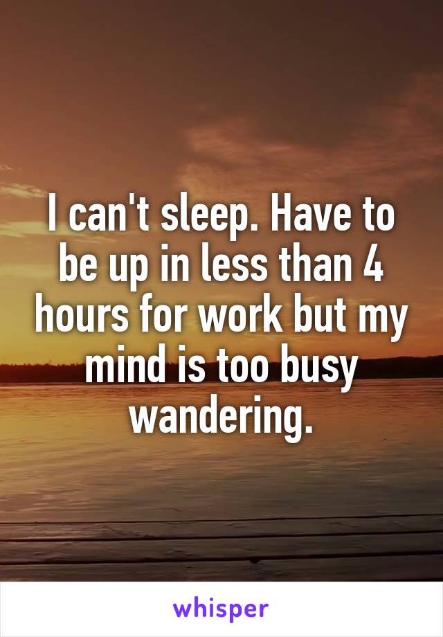 I can't sleep. Have to be up in less than 4 hours for work but my mind is too busy wandering.