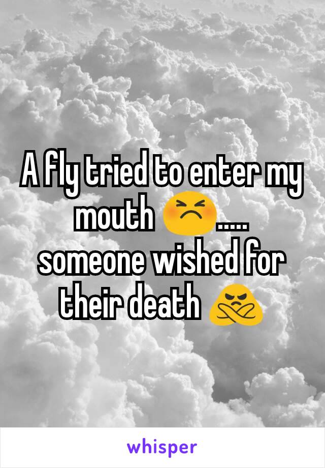 A fly tried to enter my mouth 😣..... someone wished for their death 🙅