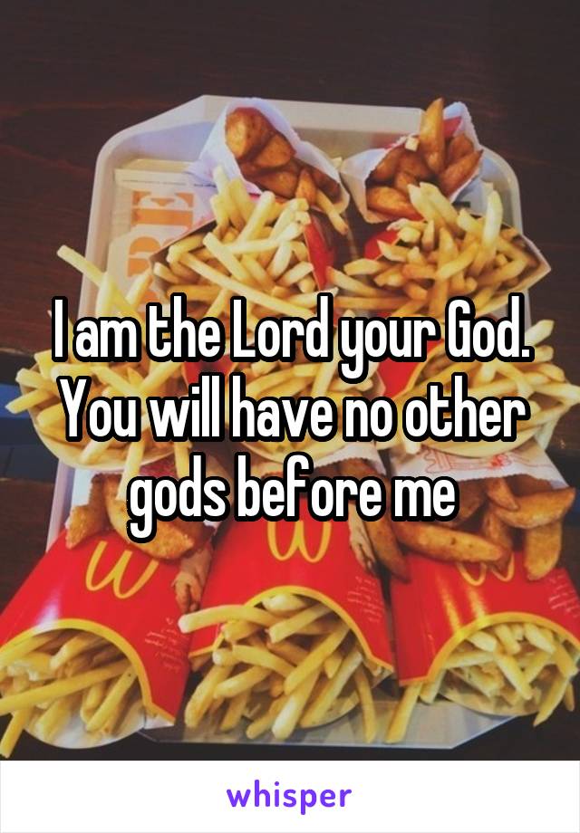 I am the Lord your God. You will have no other gods before me