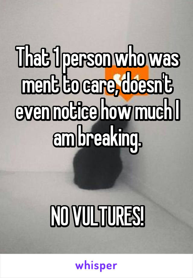 That 1 person who was ment to care, doesn't even notice how much I am breaking.


NO VULTURES!