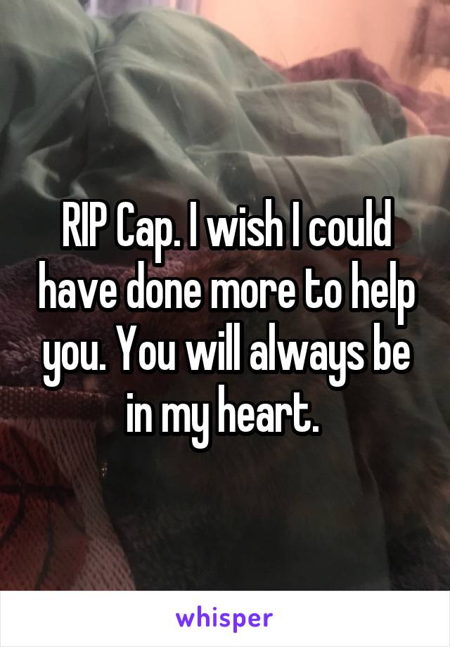 RIP Cap. I wish I could have done more to help you. You will always be in my heart. 