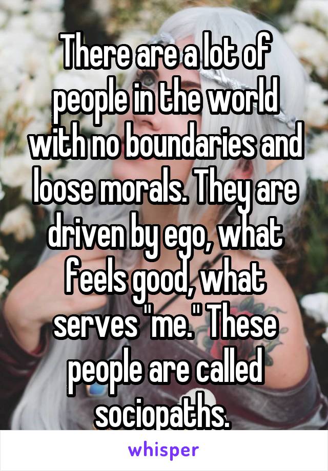 There are a lot of people in the world with no boundaries and loose morals. They are driven by ego, what feels good, what serves "me." These people are called sociopaths. 