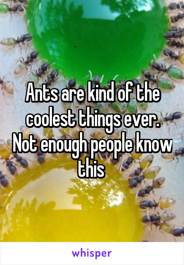 Ants are kind of the coolest things ever. Not enough people know this 