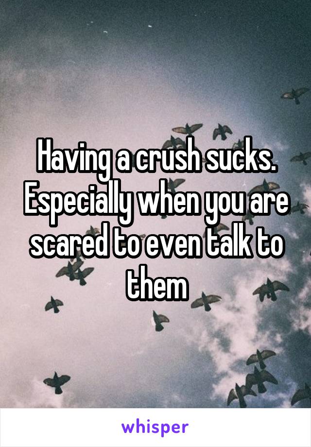 Having a crush sucks. Especially when you are scared to even talk to them