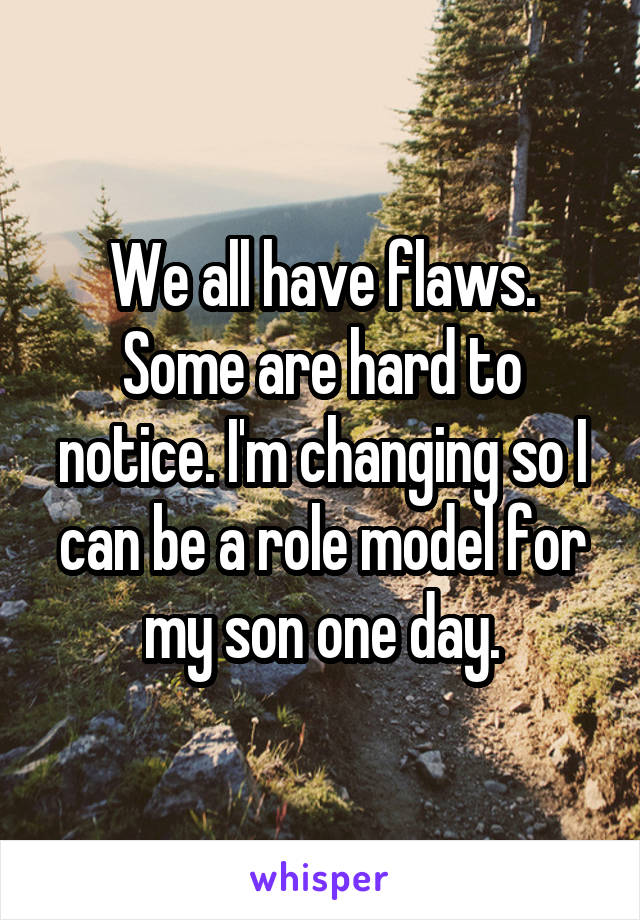 We all have flaws. Some are hard to notice. I'm changing so I can be a role model for my son one day.