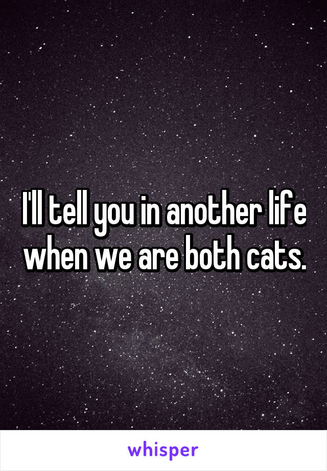 
I'll tell you in another life when we are both cats.