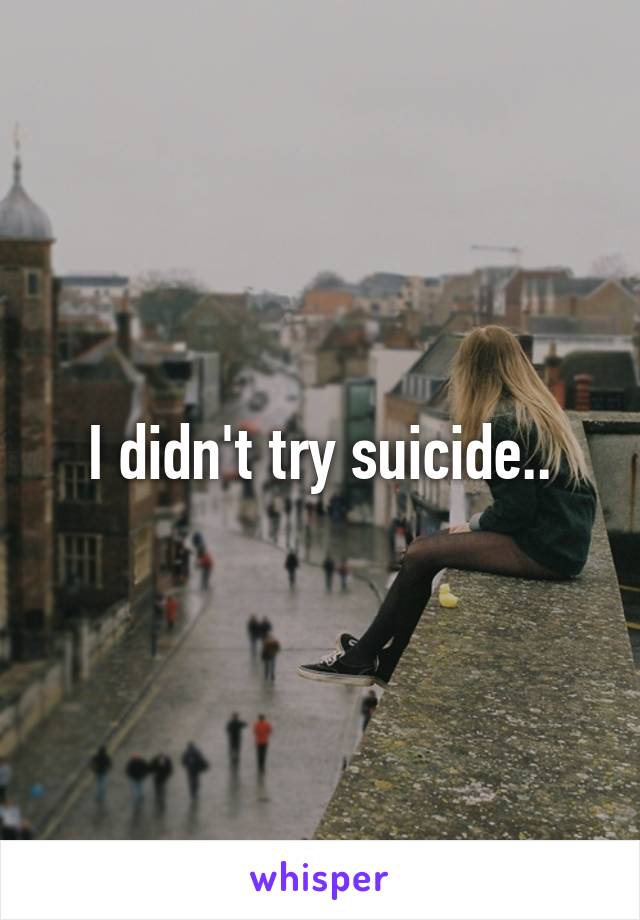 I didn't try suicide..