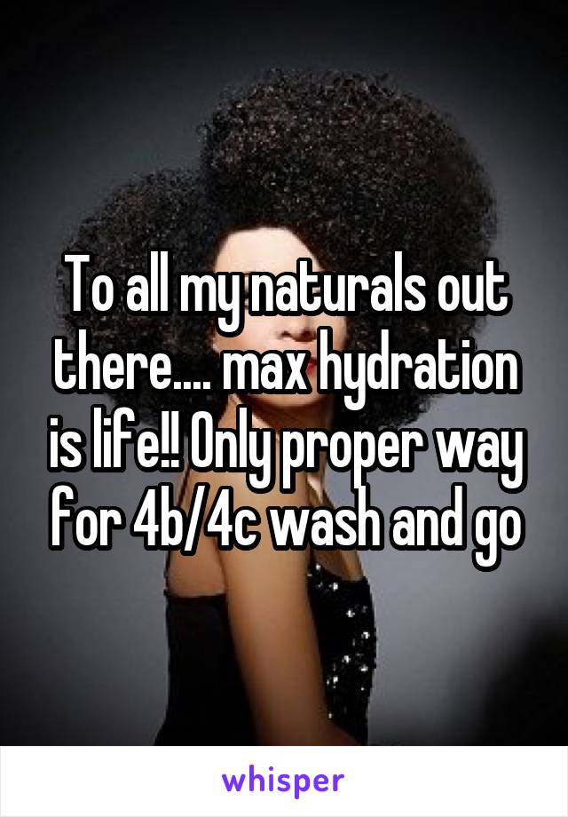 To all my naturals out there.... max hydration is life!! Only proper way for 4b/4c wash and go