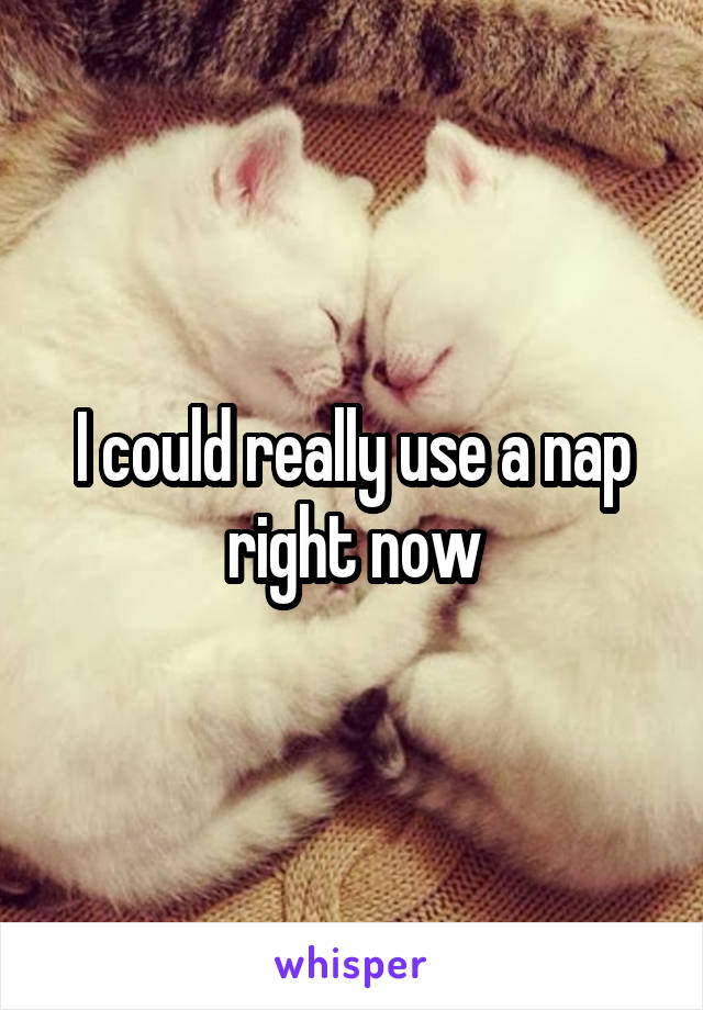 I could really use a nap right now