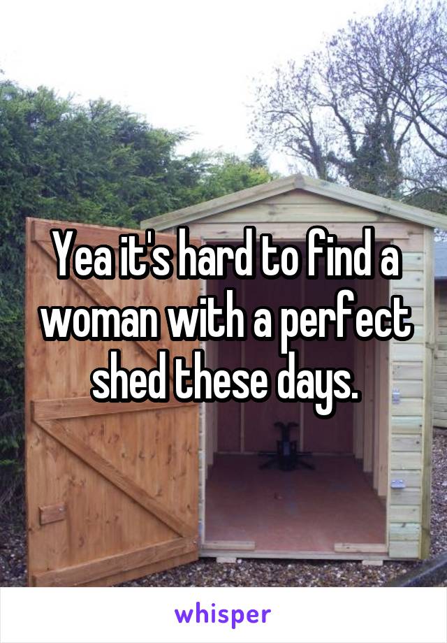 Yea it's hard to find a woman with a perfect shed these days.