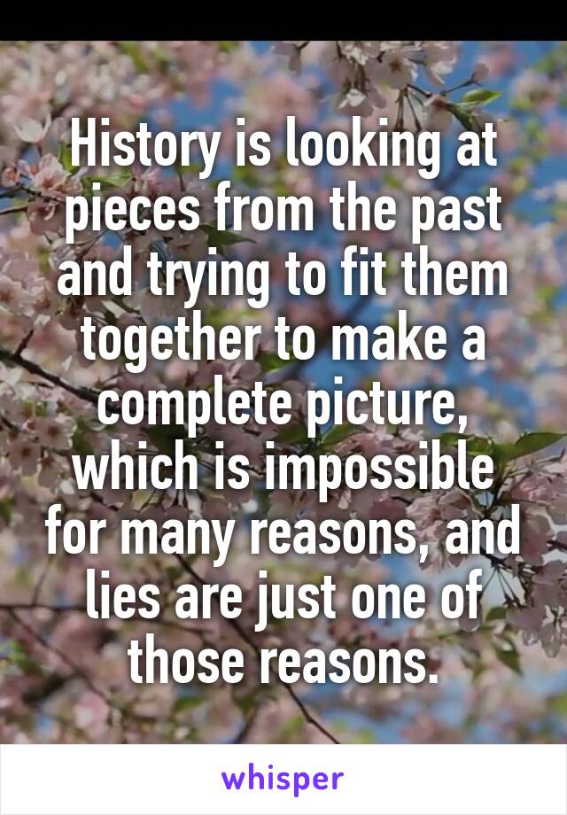 History is looking at pieces from the past and trying to fit them together to make a complete picture, which is impossible for many reasons, and lies are just one of those reasons.