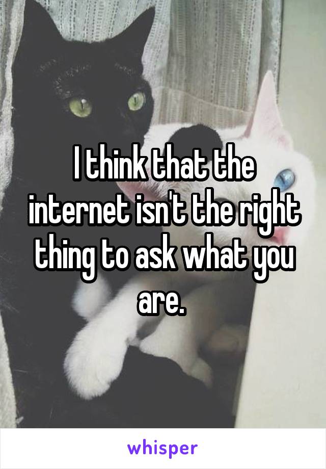 I think that the internet isn't the right thing to ask what you are. 