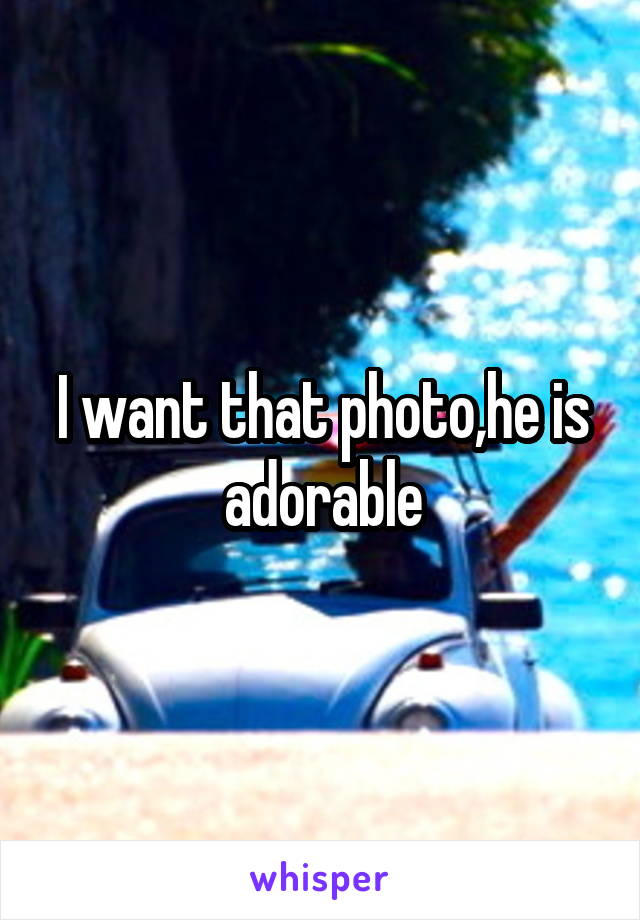 I want that photo,he is adorable