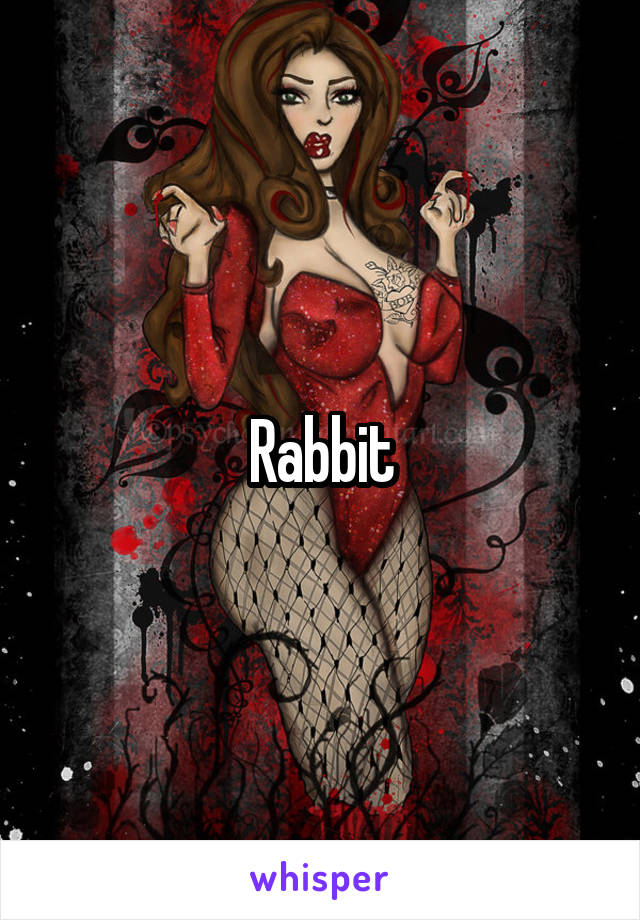 Rabbit