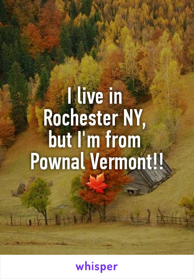 I live in 
Rochester NY, 
but I'm from 
Pownal Vermont!!
🍁