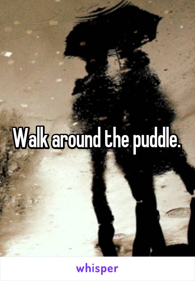 Walk around the puddle. 