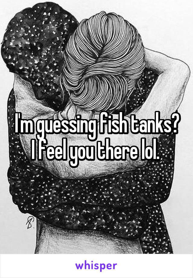 I'm guessing fish tanks? I feel you there lol. 