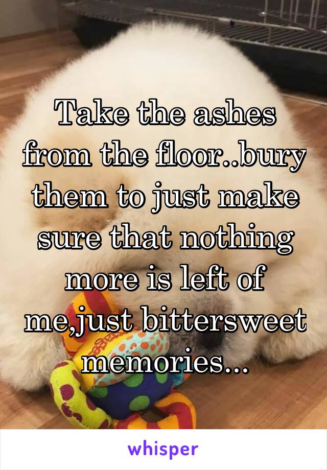 Take the ashes from the floor..bury them to just make sure that nothing more is left of me,just bittersweet memories...