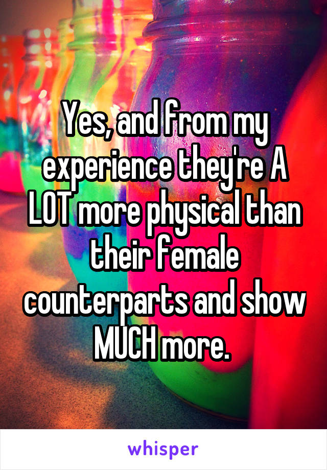 Yes, and from my experience they're A LOT more physical than their female counterparts and show MUCH more. 