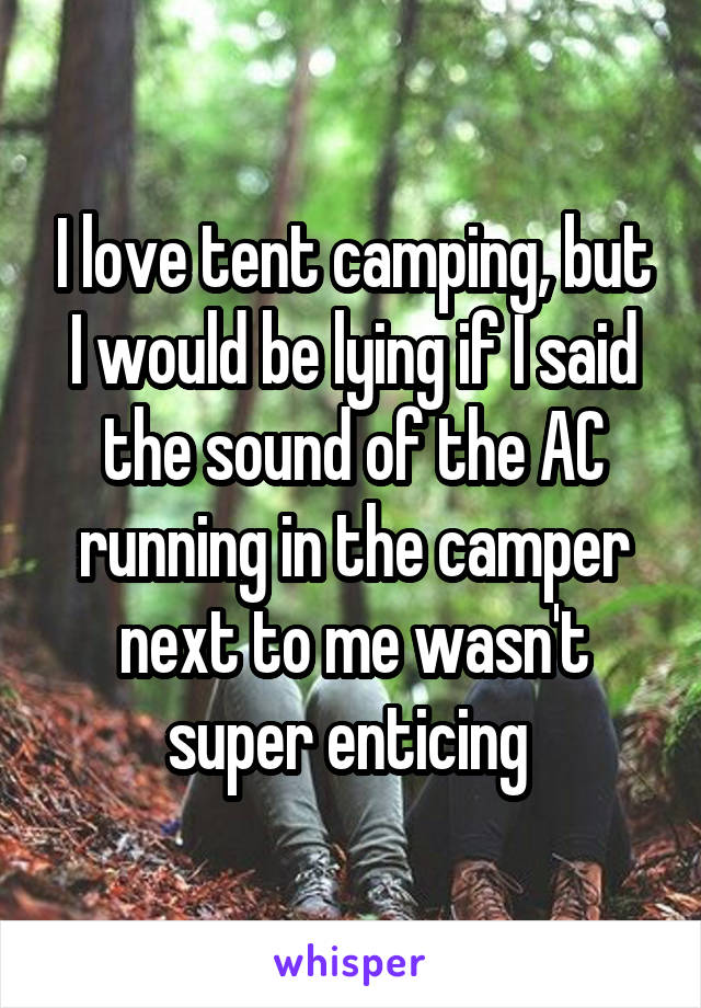 I love tent camping, but I would be lying if I said the sound of the AC running in the camper next to me wasn't super enticing 