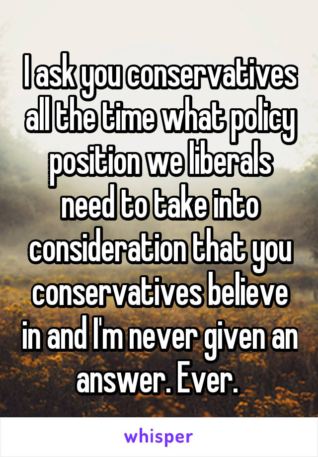 I ask you conservatives all the time what policy position we liberals need to take into consideration that you conservatives believe in and I'm never given an answer. Ever. 