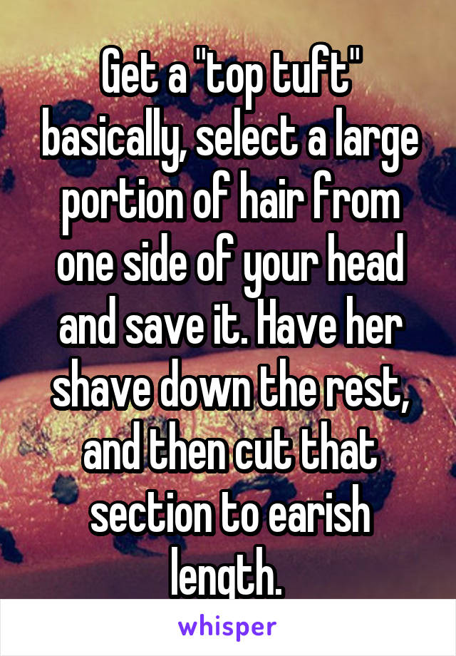 Get a "top tuft" basically, select a large portion of hair from one side of your head and save it. Have her shave down the rest, and then cut that section to earish length. 