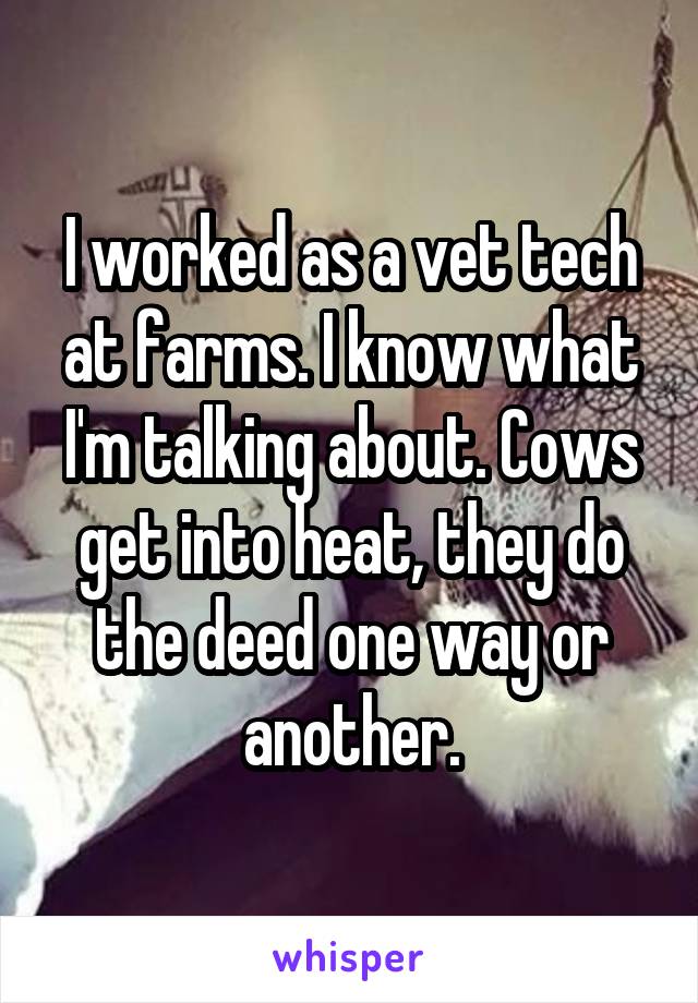 I worked as a vet tech at farms. I know what I'm talking about. Cows get into heat, they do the deed one way or another.