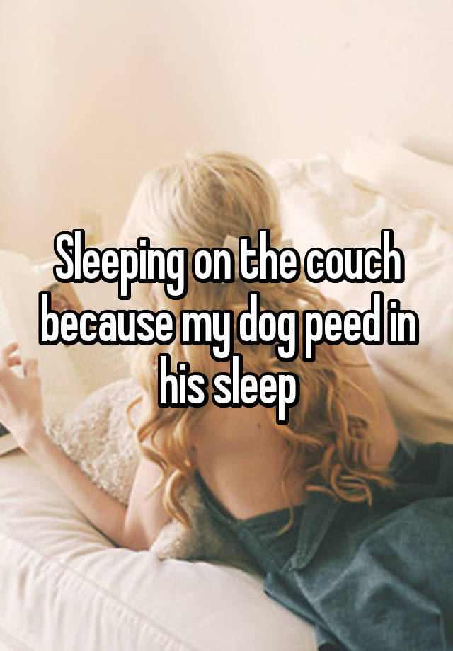 sleeping-on-the-couch-because-my-dog-peed-in-his-sleep