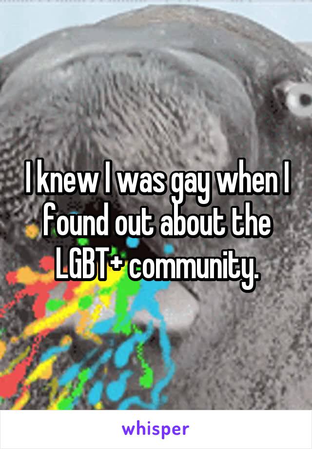 I knew I was gay when I found out about the LGBT+ community.