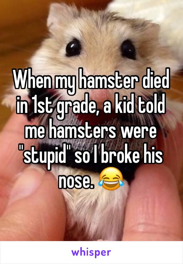 When my hamster died in 1st grade, a kid told me hamsters were "stupid" so I broke his    nose. 😂