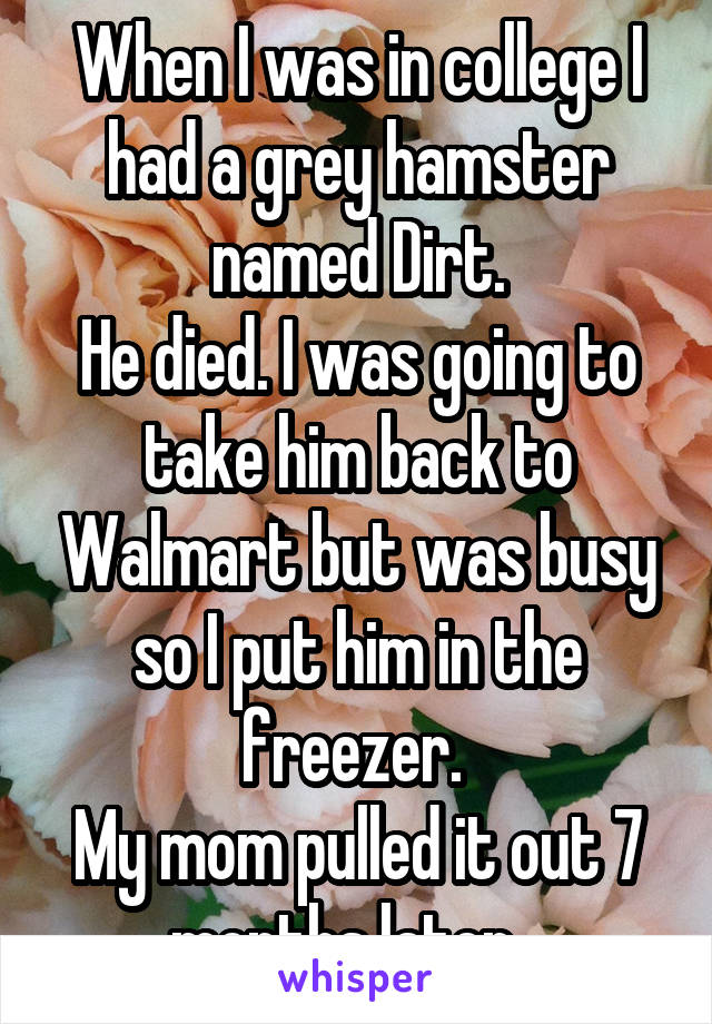 When I was in college I had a grey hamster named Dirt.
He died. I was going to take him back to Walmart but was busy so I put him in the freezer. 
My mom pulled it out 7 months later...