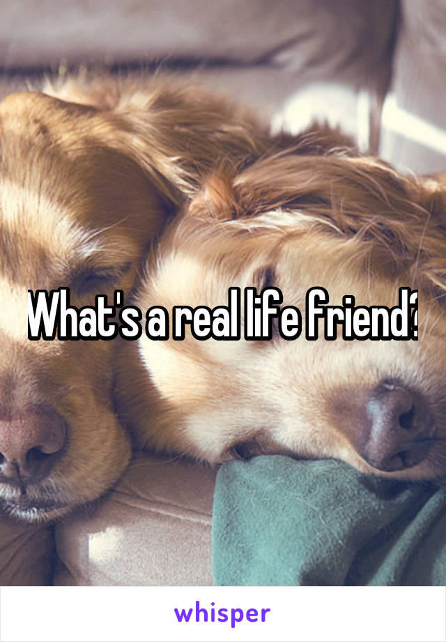 What's a real life friend?