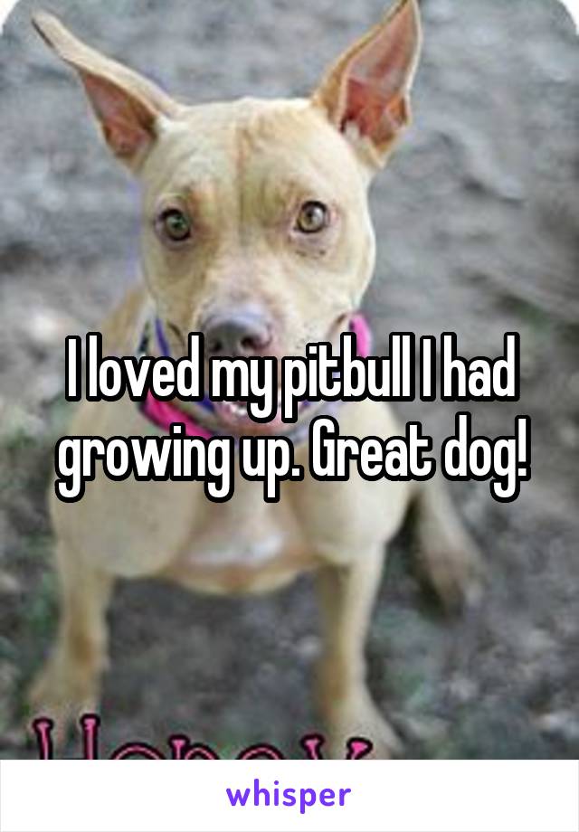 I loved my pitbull I had growing up. Great dog!