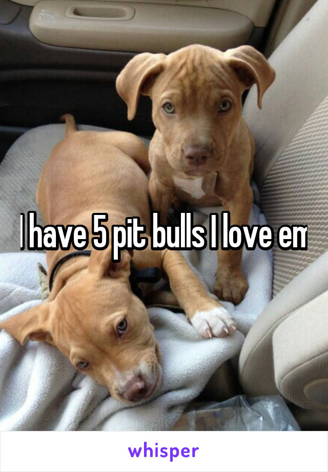 I have 5 pit bulls I love em