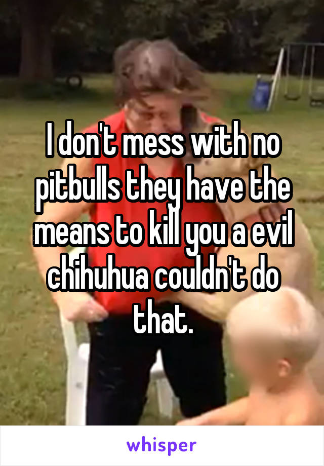 I don't mess with no pitbulls they have the means to kill you a evil chihuhua couldn't do that.