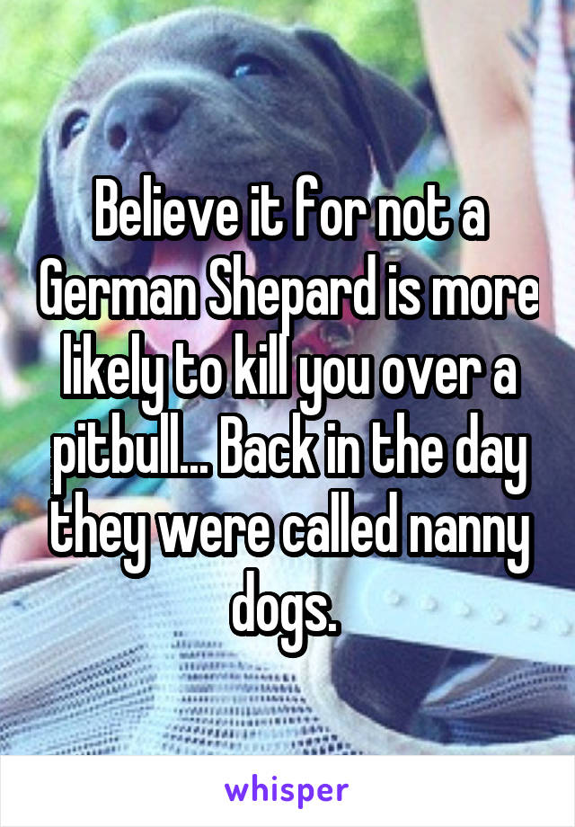 Believe it for not a German Shepard is more likely to kill you over a pitbull... Back in the day they were called nanny dogs. 