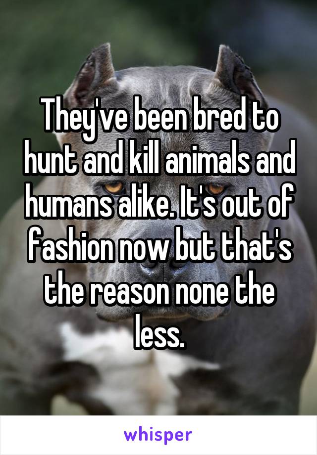 They've been bred to hunt and kill animals and humans alike. It's out of fashion now but that's the reason none the less.