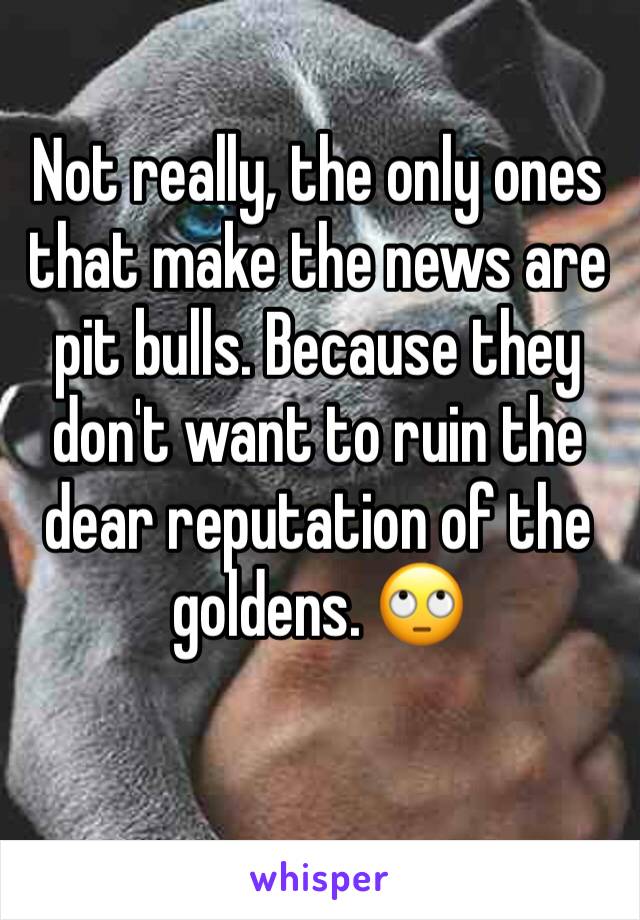 Not really, the only ones that make the news are pit bulls. Because they don't want to ruin the dear reputation of the goldens. 🙄