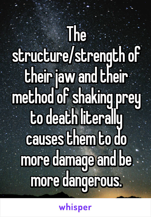 The structure/strength of their jaw and their method of shaking prey to death literally causes them to do more damage and be more dangerous.