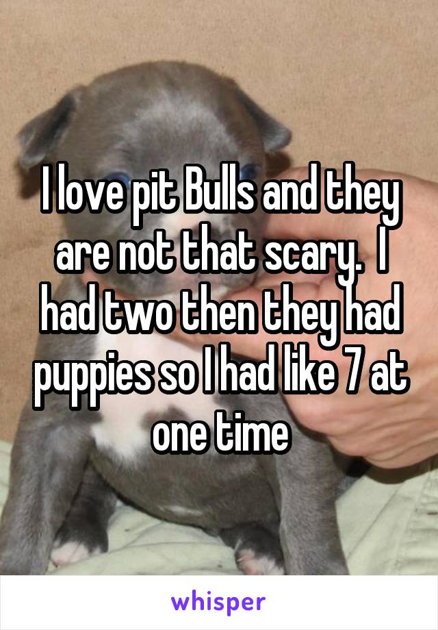 I love pit Bulls and they are not that scary.  I had two then they had puppies so I had like 7 at one time