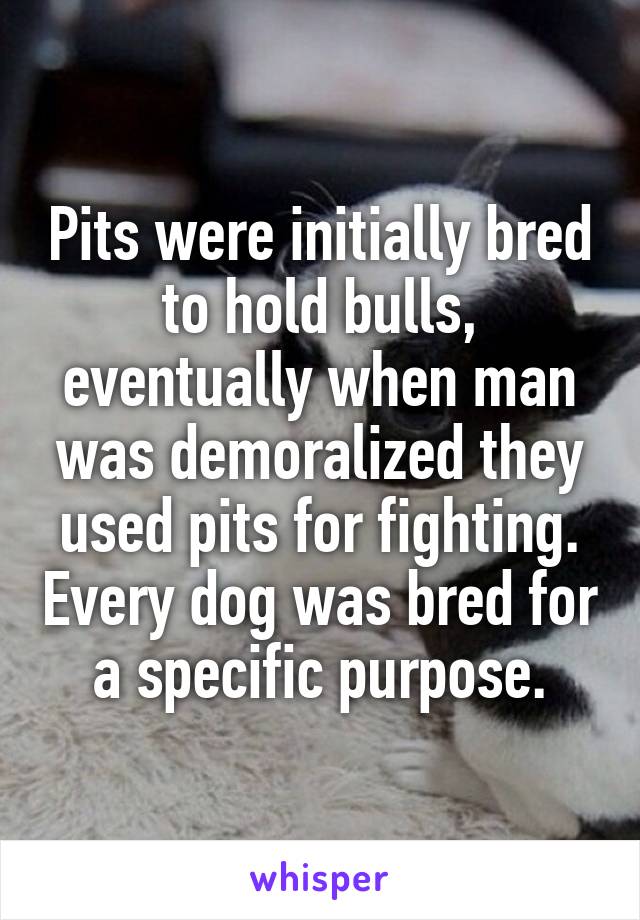 Pits were initially bred to hold bulls, eventually when man was demoralized they used pits for fighting. Every dog was bred for a specific purpose.