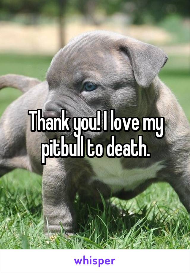 Thank you! I love my pitbull to death.