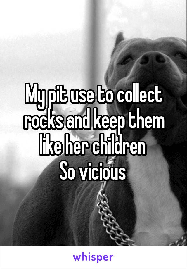 My pit use to collect rocks and keep them like her children 
So vicious 