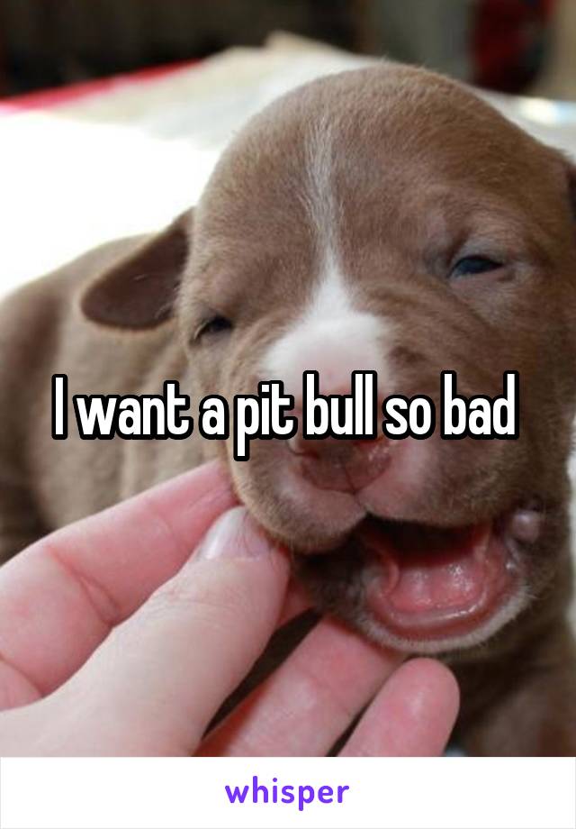 I want a pit bull so bad 