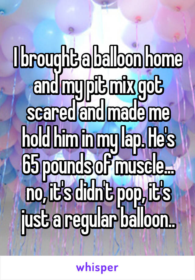 I brought a balloon home and my pit mix got scared and made me hold him in my lap. He's 65 pounds of muscle... no, it's didn't pop, it's just a regular balloon..