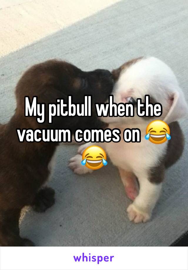 My pitbull when the vacuum comes on 😂😂