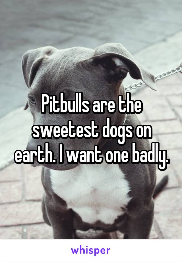 Pitbulls are the sweetest dogs on earth. I want one badly.