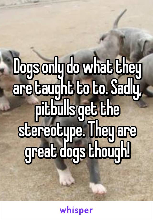 Dogs only do what they are taught to to. Sadly, pitbulls get the stereotype. They are great dogs though!