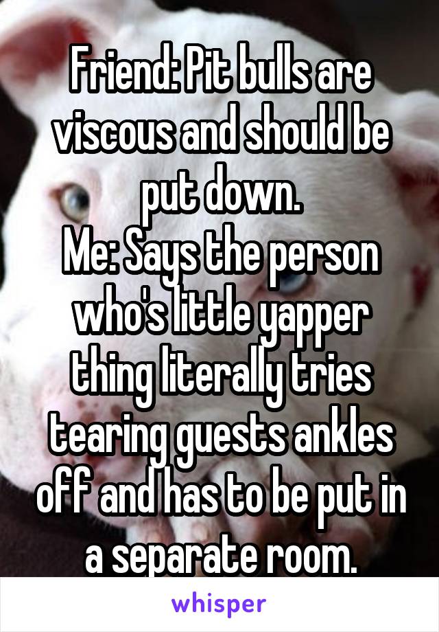 Friend: Pit bulls are viscous and should be put down.
Me: Says the person who's little yapper thing literally tries tearing guests ankles off and has to be put in a separate room.